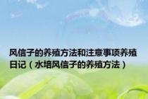 风信子的养殖方法和注意事项养殖日记（水培风信子的养殖方法）