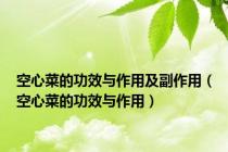 空心菜的功效与作用及副作用（空心菜的功效与作用）