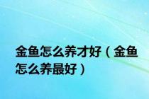 金鱼怎么养才好（金鱼怎么养最好）