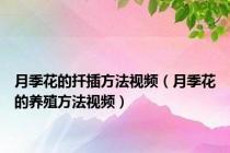 月季花的扦插方法视频（月季花的养殖方法视频）