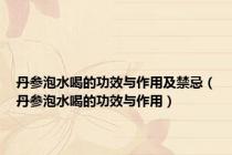 丹参泡水喝的功效与作用及禁忌（丹参泡水喝的功效与作用）