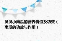 贝贝小南瓜的营养价值及功效（南瓜的功效与作用）