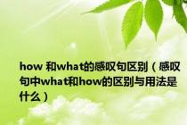 how 和what的感叹句区别（感叹句中what和how的区别与用法是什么）
