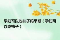 孕妇可以吃柿子吗早期（孕妇可以吃柿子）
