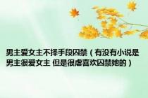 男主爱女主不择手段囚禁（有没有小说是男主很爱女主 但是很虐喜欢囚禁她的）