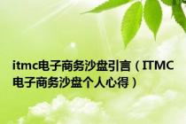 itmc电子商务沙盘引言（ITMC电子商务沙盘个人心得）