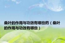 桑叶的作用与功效有哪些药（桑叶的作用与功效有哪些）