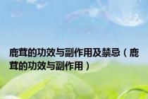 鹿茸的功效与副作用及禁忌（鹿茸的功效与副作用）