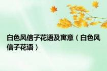 白色风信子花语及寓意（白色风信子花语）