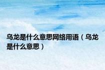 乌龙是什么意思网络用语（乌龙是什么意思）
