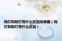 筒灯和射灯有什么区别效果图（筒灯和射灯有什么区别）