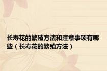 长寿花的繁殖方法和注意事项有哪些（长寿花的繁殖方法）