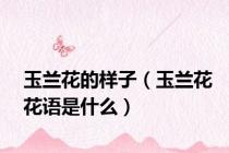玉兰花的样子（玉兰花花语是什么）