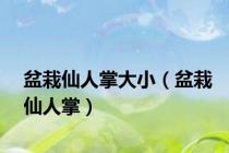 盆栽仙人掌大小（盆栽仙人掌）