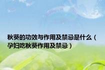 秋葵的功效与作用及禁忌是什么（孕妇吃秋葵作用及禁忌）
