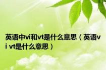 英语中vi和vt是什么意思（英语vi vt是什么意思）