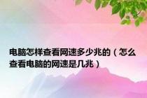 电脑怎样查看网速多少兆的（怎么查看电脑的网速是几兆）
