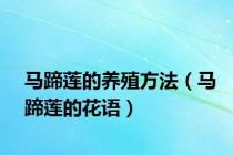 马蹄莲的养殖方法（马蹄莲的花语）