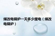 煤改电锅炉一天多少度电（煤改电锅炉）