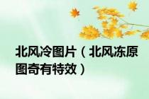 北风冷图片（北风冻原图奇有特效）