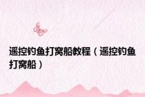 遥控钓鱼打窝船教程（遥控钓鱼打窝船）