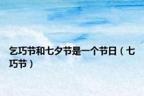 乞巧节和七夕节是一个节日（七巧节）