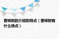 香樟树的介绍和特点（香樟树有什么特点）