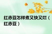 红赤豆怎样煮又快又烂（红赤豆）