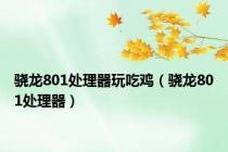 骁龙801处理器玩吃鸡（骁龙801处理器）