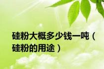 硅粉大概多少钱一吨（硅粉的用途）