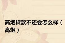 高炮贷款不还会怎么样（高炮）