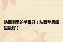 陕西哪里的苹果好（陕西苹果哪里最好）
