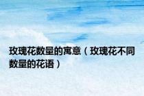玫瑰花数量的寓意（玫瑰花不同数量的花语）