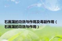 石菖蒲的功效与作用及毒副作用（石菖蒲的功效与作用）
