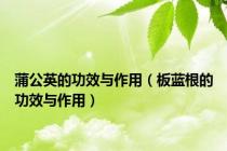 蒲公英的功效与作用（板蓝根的功效与作用）