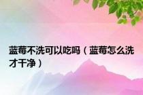 蓝莓不洗可以吃吗（蓝莓怎么洗才干净）