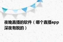 夜晚直播的软件（哪个直播app深夜有脱的）
