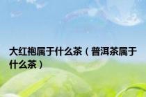 大红袍属于什么茶（普洱茶属于什么茶）
