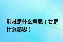 荆棘是什么意思（廿是什么意思）