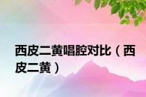 西皮二黄唱腔对比（西皮二黄）