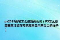 ps2019画笔怎么设置两头尖（PS怎么设置画笔才能在预览图里显示两头尖的样子）