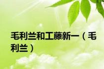 毛利兰和工藤新一（毛利兰）