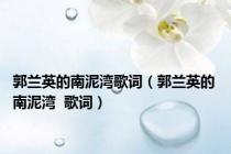 郭兰英的南泥湾歌词（郭兰英的 南泥湾  歌词）