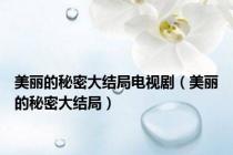 美丽的秘密大结局电视剧（美丽的秘密大结局）