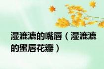湿漉漉的嘴唇（湿漉漉的蜜唇花瓣）
