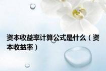 资本收益率计算公式是什么（资本收益率）