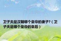 卫子夫是汉朝哪个皇帝的妻子?（卫子夫是哪个皇帝的皇后）