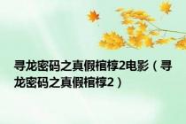 寻龙密码之真假棺椁2电影（寻龙密码之真假棺椁2）