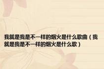 我就是我是不一样的烟火是什么歌曲（我就是我是不一样的烟火是什么歌）