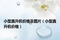 小型直升机价格及图片（小型直升机价格）